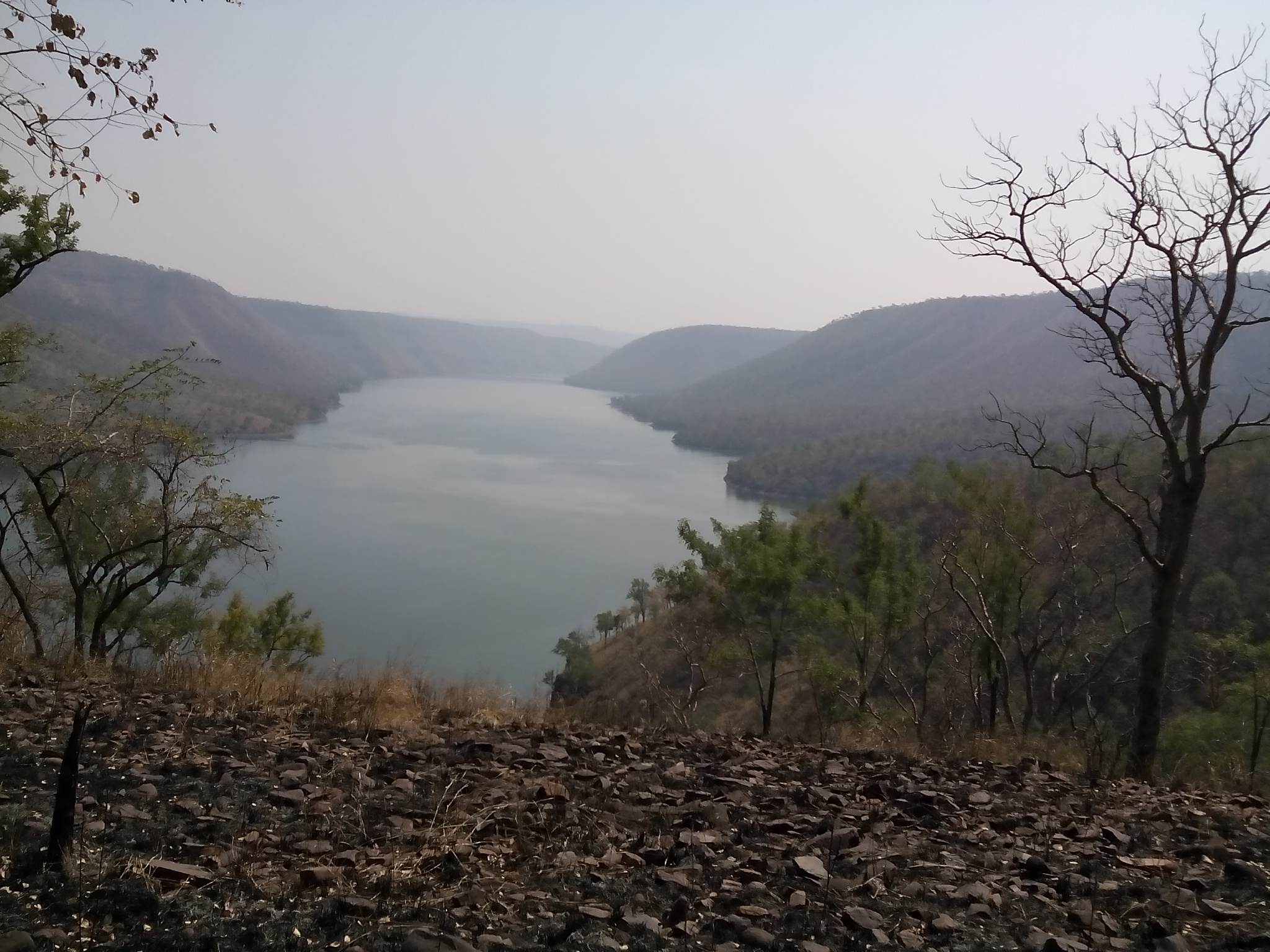 Nallamala Tiger Reserve Ghats